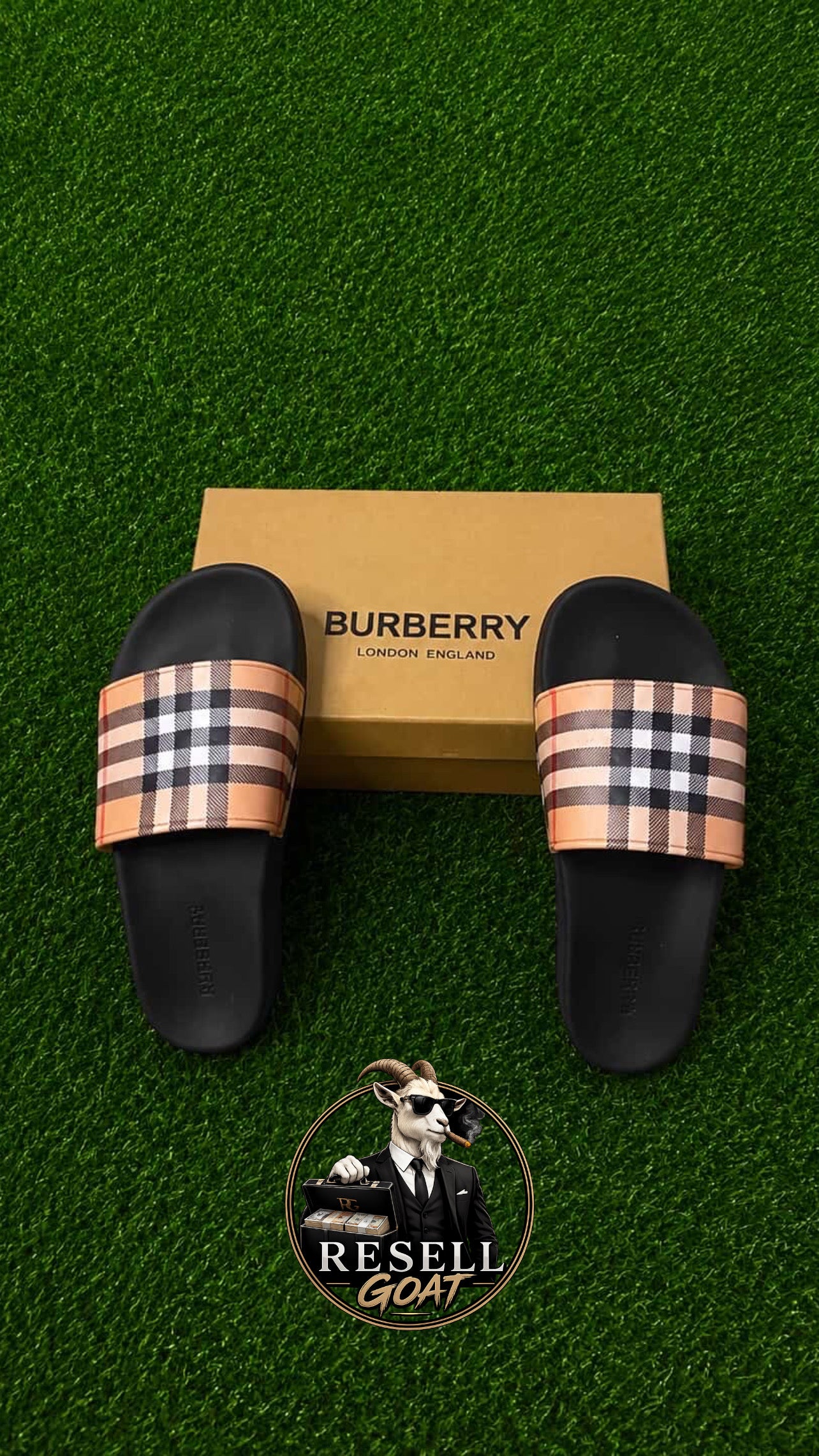 BBerry Slides